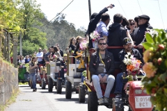 Desfile de chimpíns