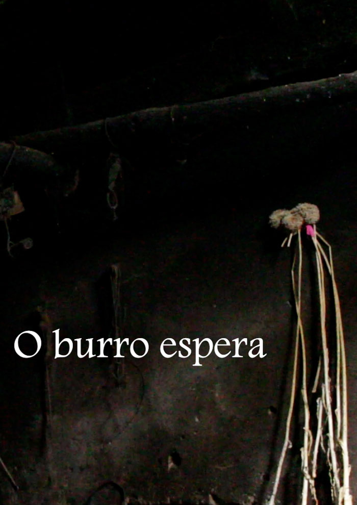 festival de cans 2023: O BURRO ESPERA