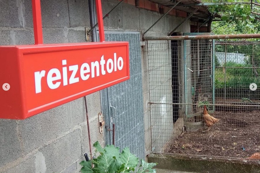 rei zentolo invernadoiro
