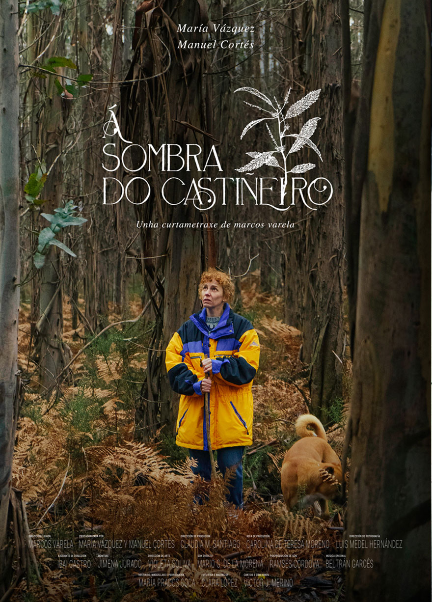 A SOMBRA DO CASTIÑEIRO