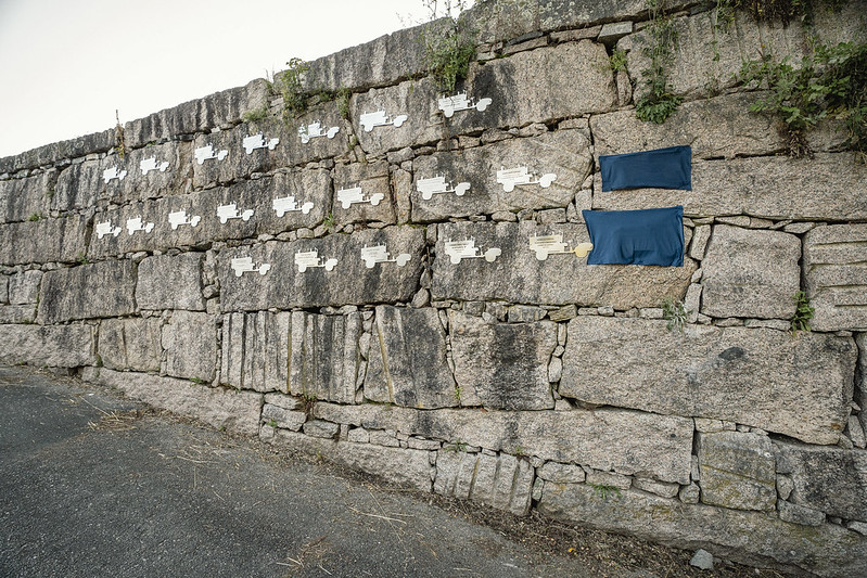Placa a Adriano Campos no muro dos chimpíns